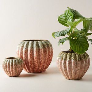 Anthropologie Home - Ariel Planter Pot - Size S